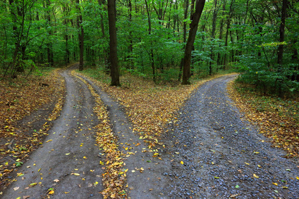 La route non prise