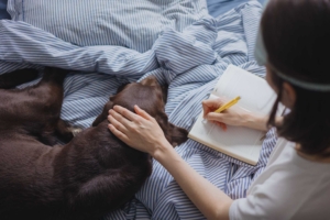 adopter des habitudes de sommeil