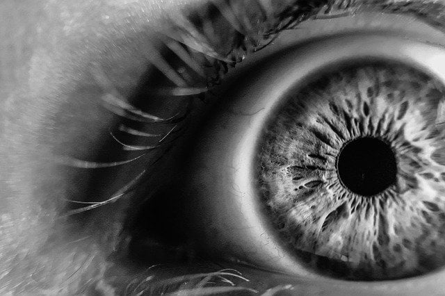 avoir une vision claire pour avoir une direction à suivre