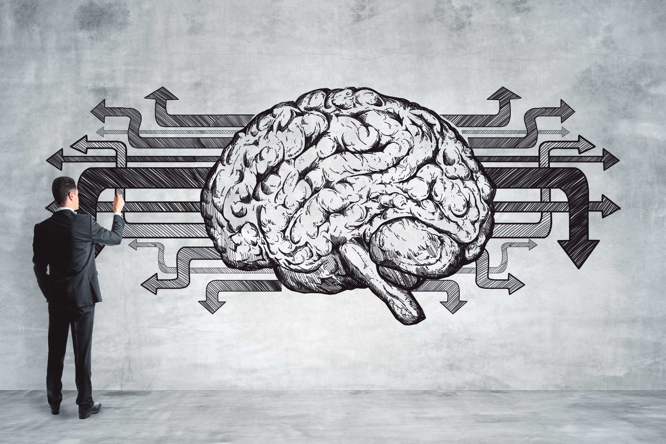 cerveau mensonge et vérité