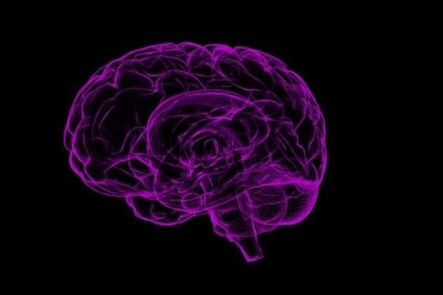 reprogrammer son cerveau et transformer sa vie