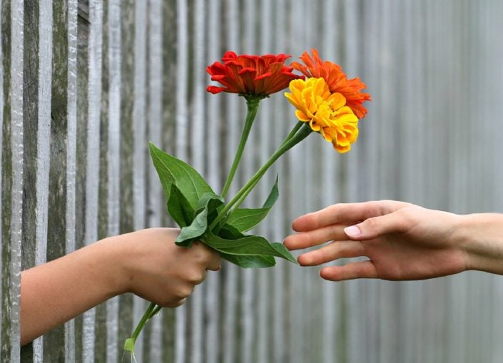 hand-1549224_1920