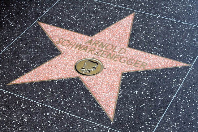 les règles du succès d'Arnold Schwarzenegger