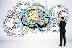 mécanismes cérébraux vérité