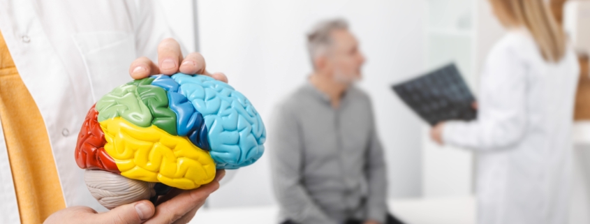 neuroplasticité
