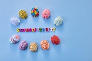 neuroplasticité et vie quotidienne