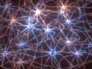 preuve scientifique neuroplasticité
