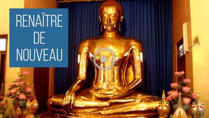 renaitre-de-nouveau Renaître de nouveau - développement personnel