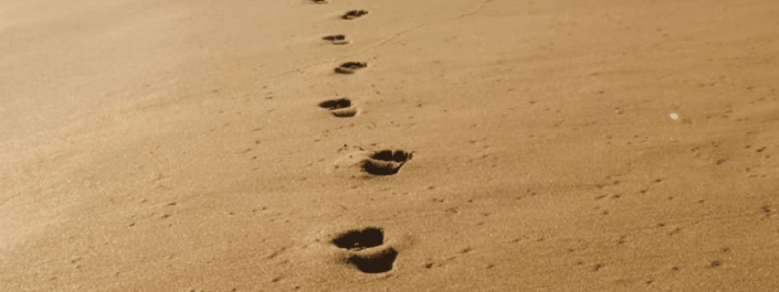 tracer-son-chemin